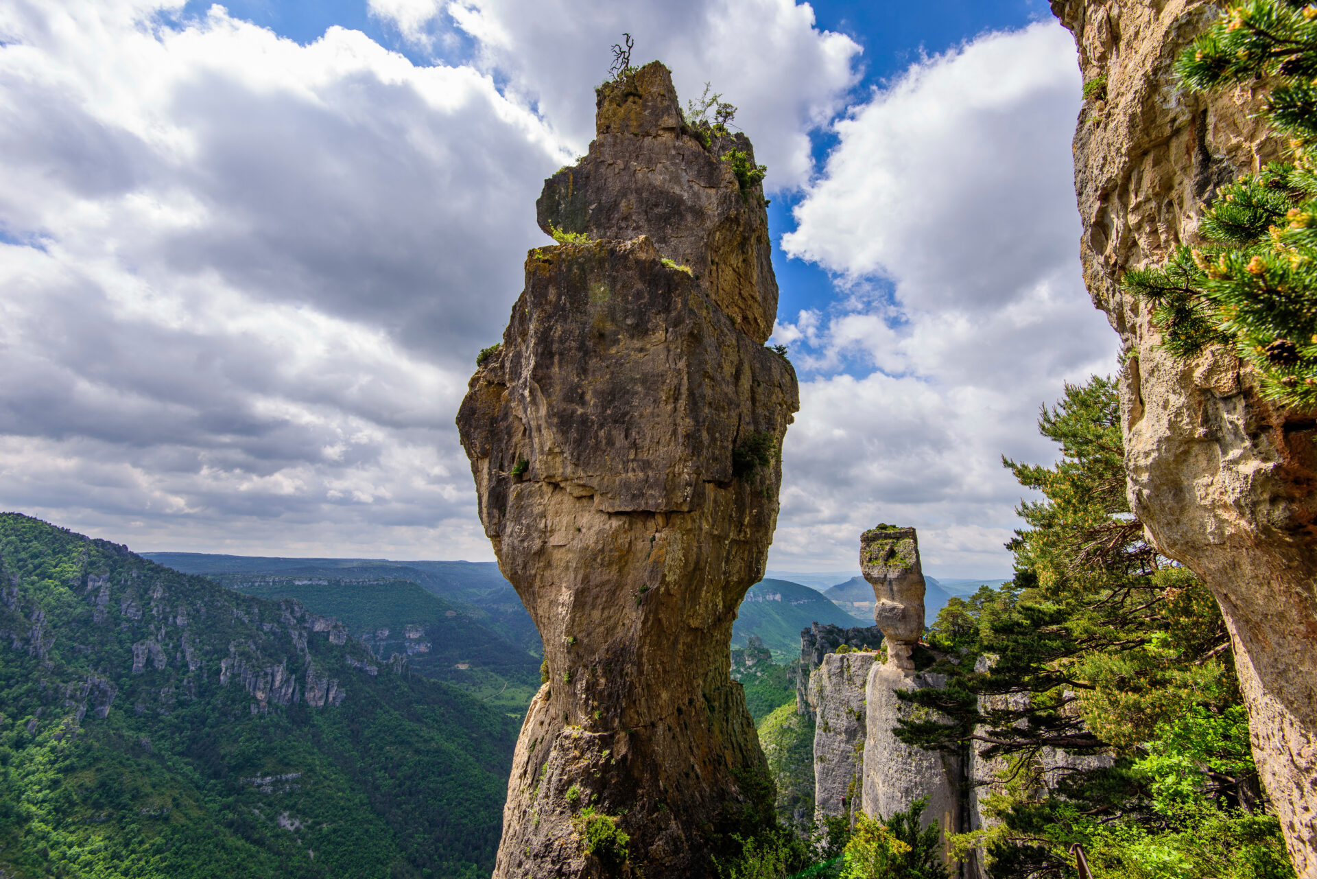 Vase de Chine dans les Gorges de la Jonte Vase de Chine dans les Gorges de la Jonte