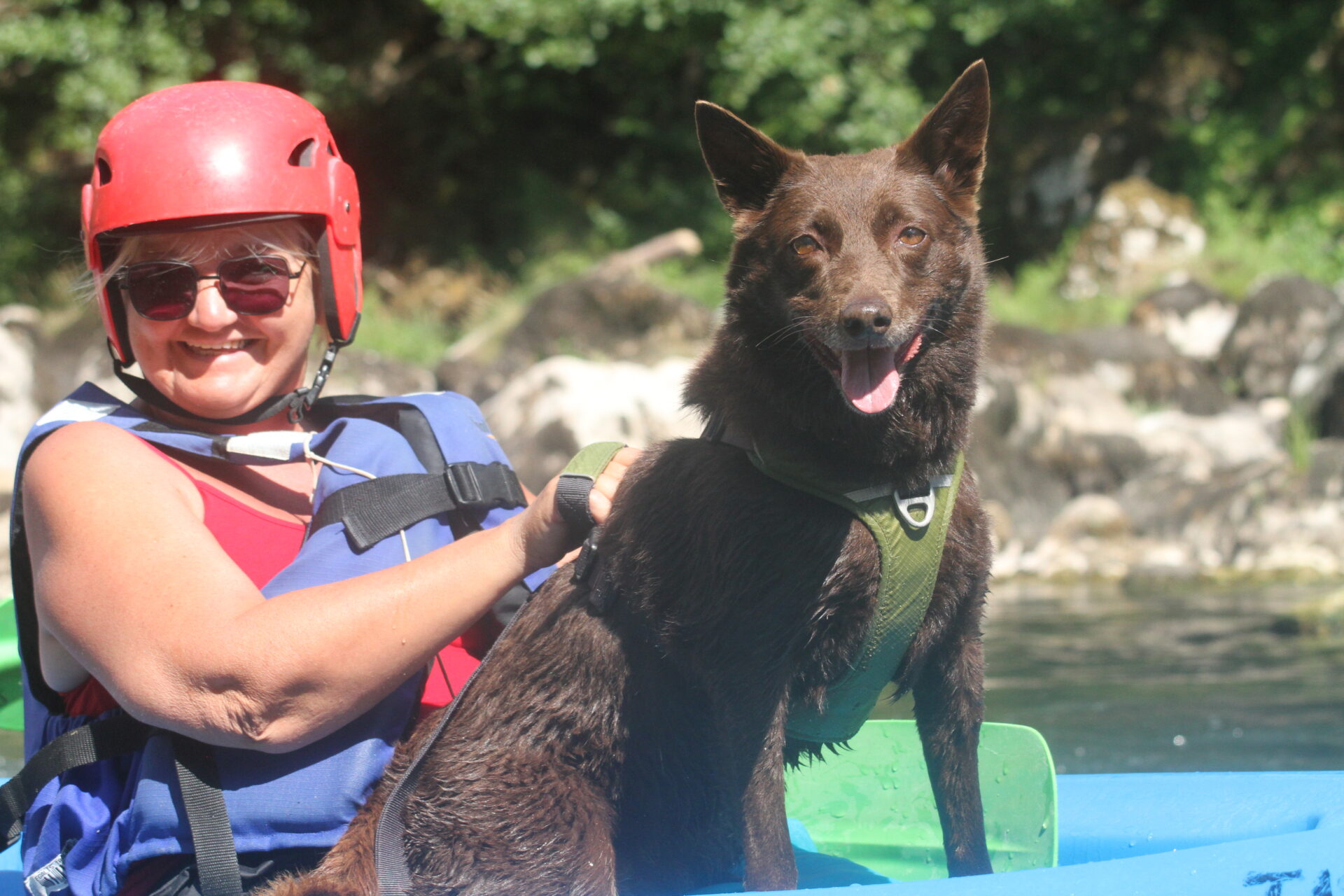 6318 03 08 2022 gt lr